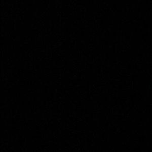 Meet your Posher, Zoey